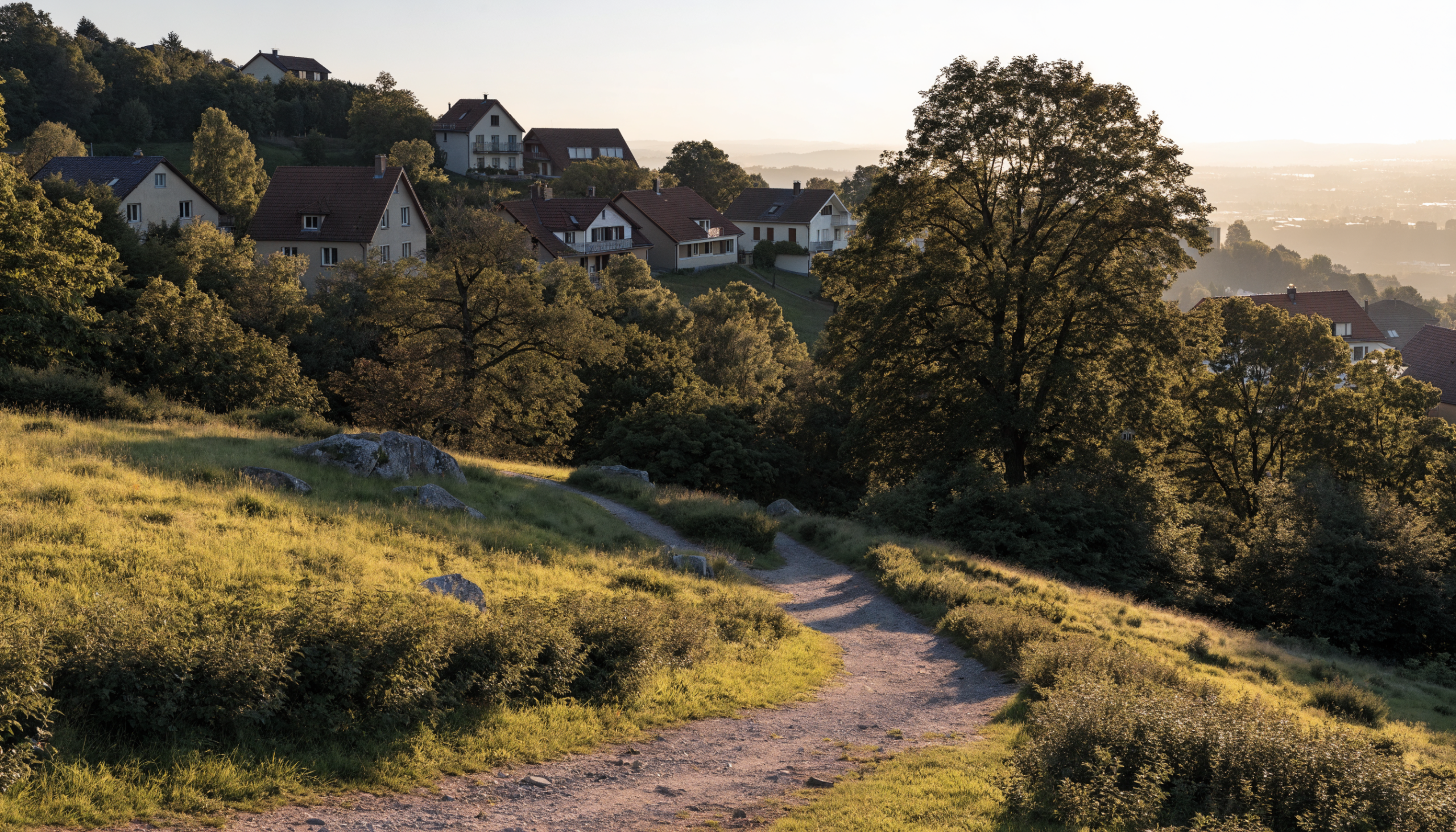 Grüne Hanglage im Feuerbacher Tal Stuttgart mit Wohnhäusern zwischen Bäumen